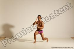 Elmer - Traditional Korean Art